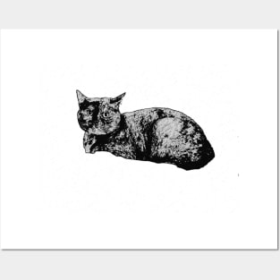 Hibou the Cat Posters and Art